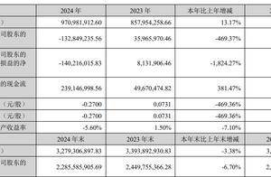 阿尔特62岁副董事长李立忠年薪260万元、是董事长近两倍