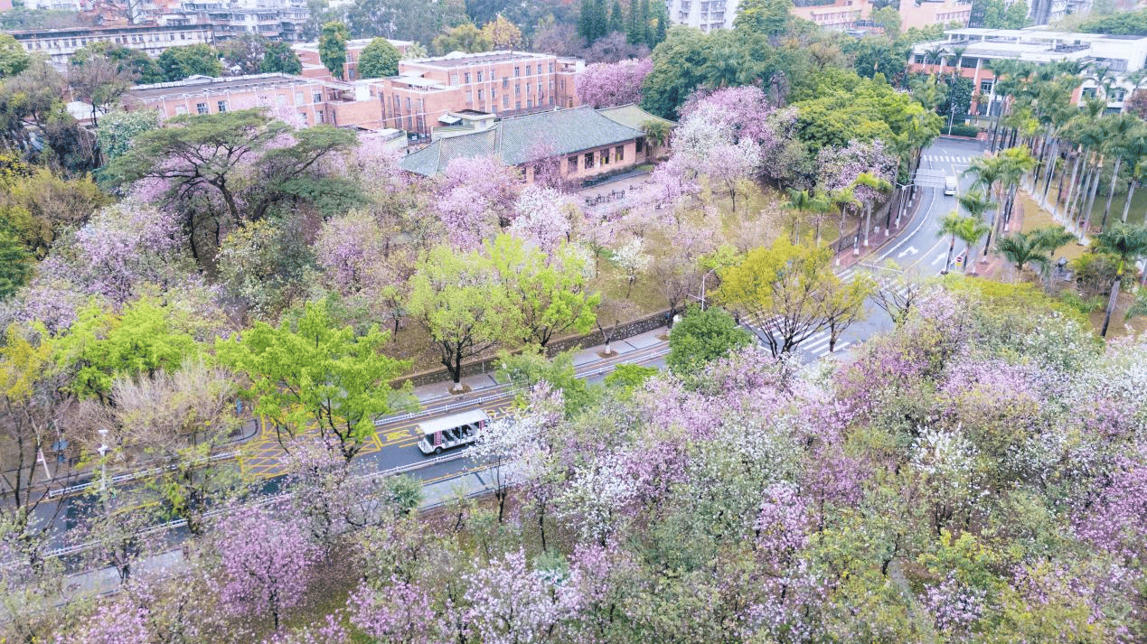 【视频】不用追花期，把四季装进口袋！羊城八景怎能没有……_【视频】不用追花期，把四季装进口袋！羊城八景怎能没有……_