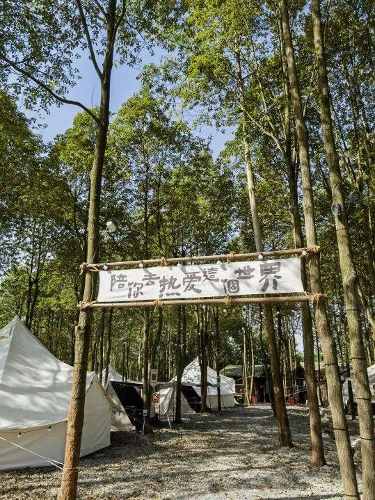 夏至已至，来自贡这里拥抱美景与惬意！_夏至已至，来自贡这里拥抱美景与惬意！_