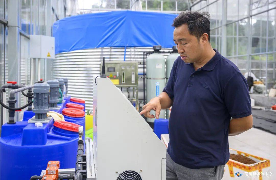 劳模带路 看新农人玩转“数字种菜”