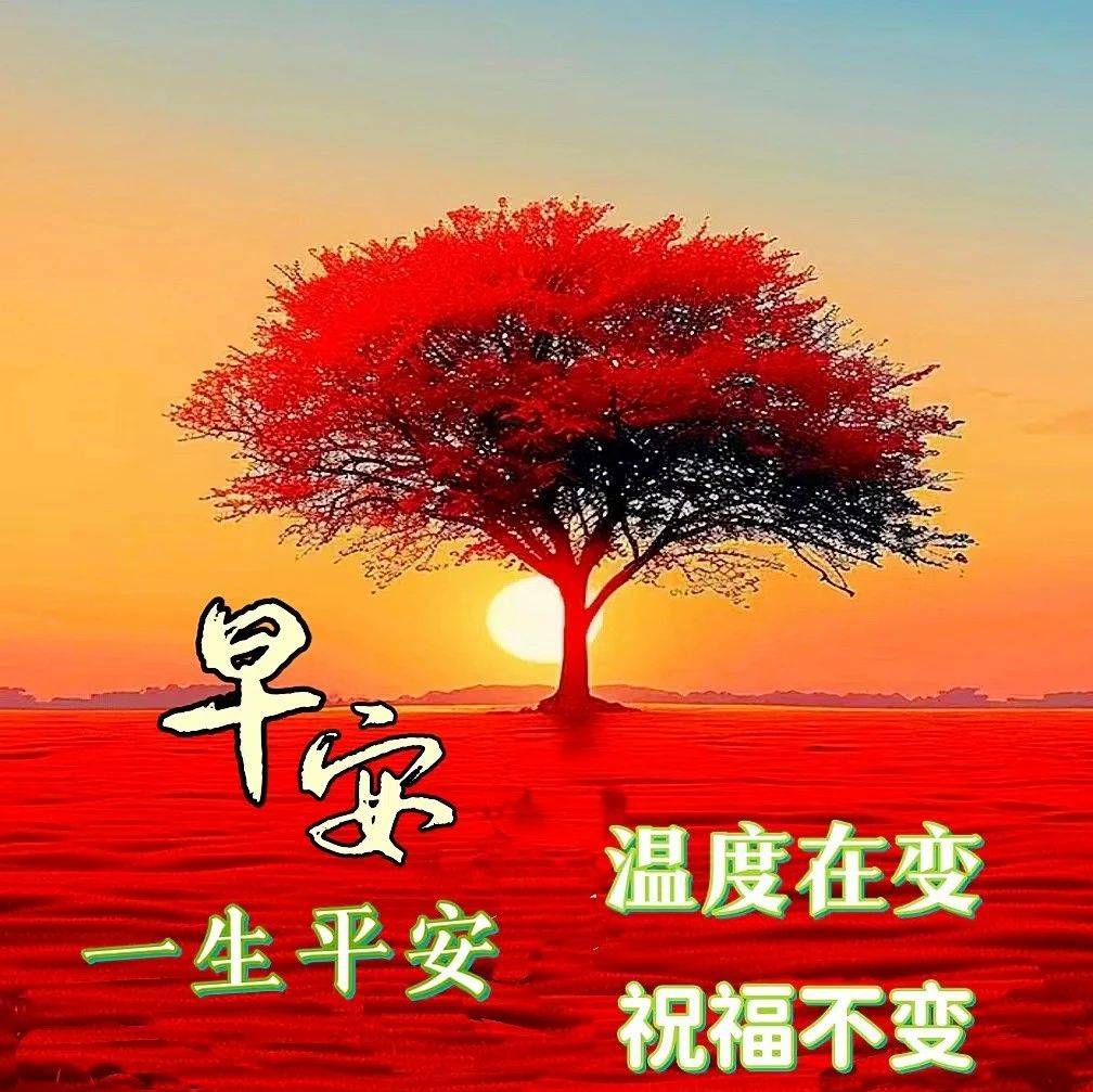 从从容容,静静开花,静静结果!_生活_火气_治愈