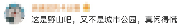 696969大但人文艺术价值:大片连根铲除！深圳一公园“火速响应”引质疑，网友为它喊冤