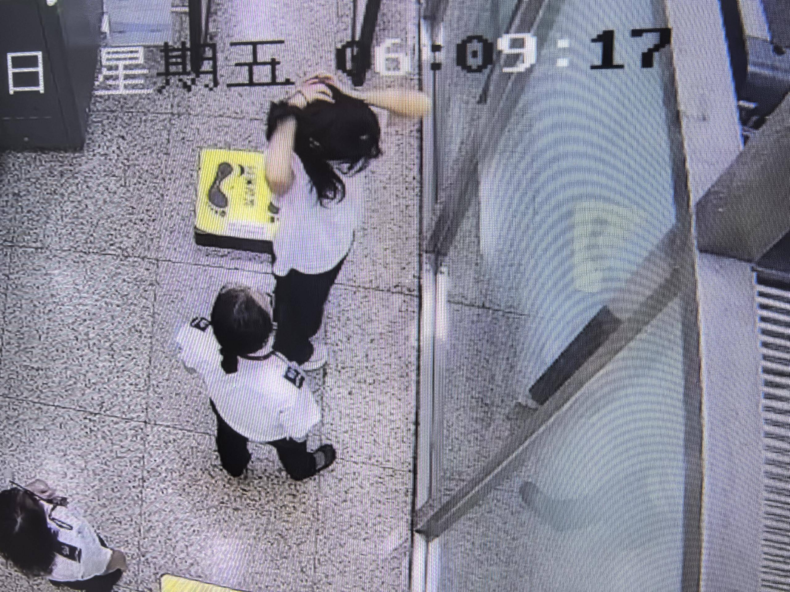 女子将宠物乌龟藏在蝴蝶结盘发内，过安检乘飞机时被查 警方
：批判教育