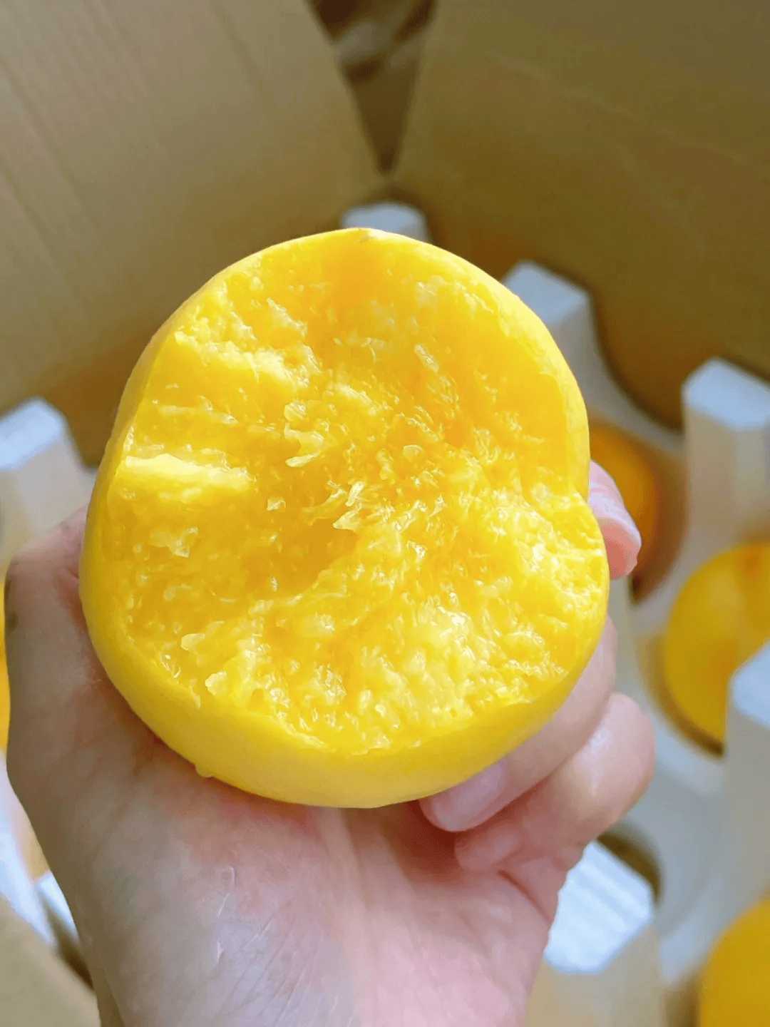 山东沂蒙黄油桃,软吃爆汁,硬吃脆嫩爽口!