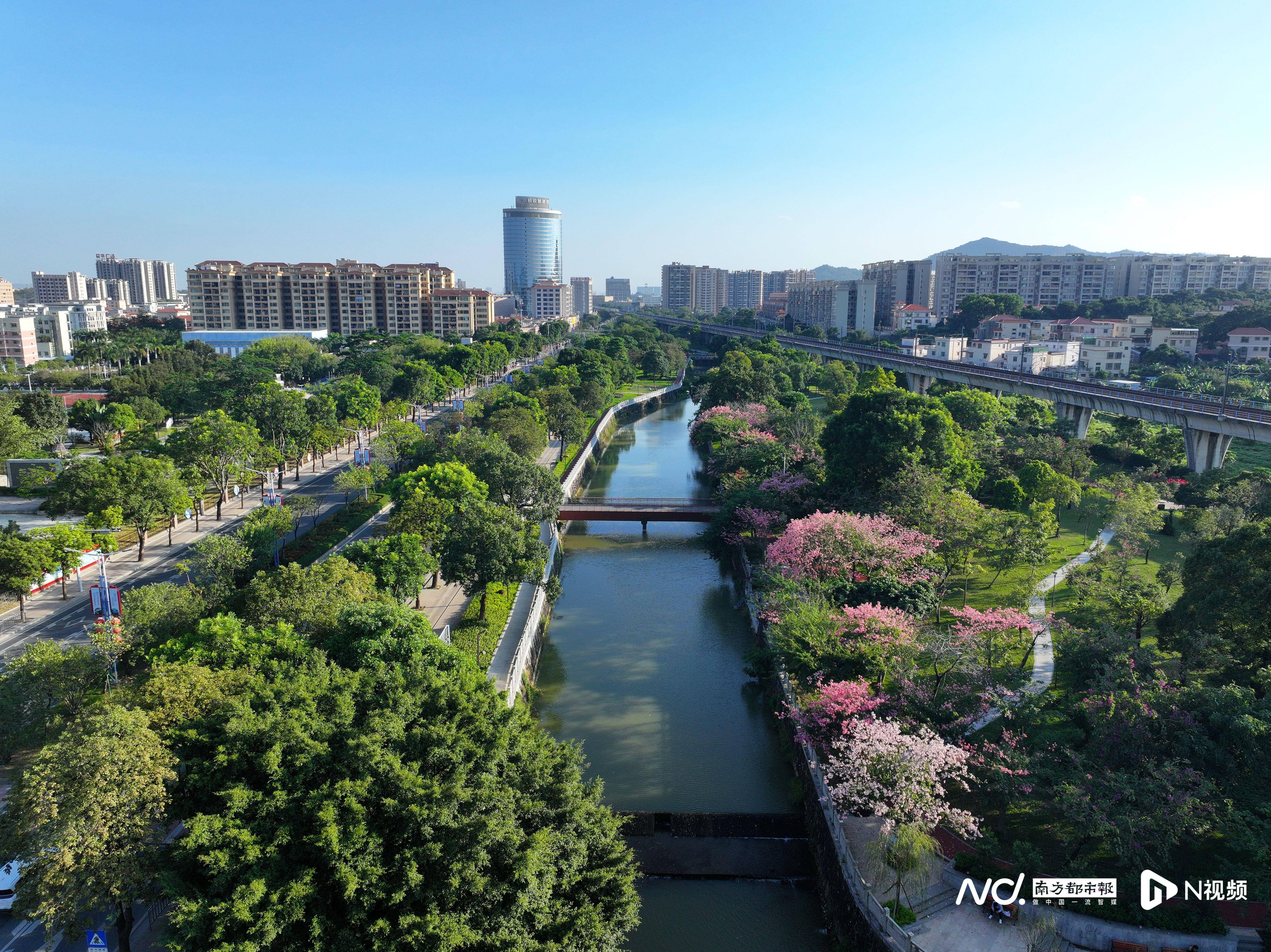 他的吻好甜:曾3次被央督点名，广东中山如何用三年打好治水“翻身仗”？