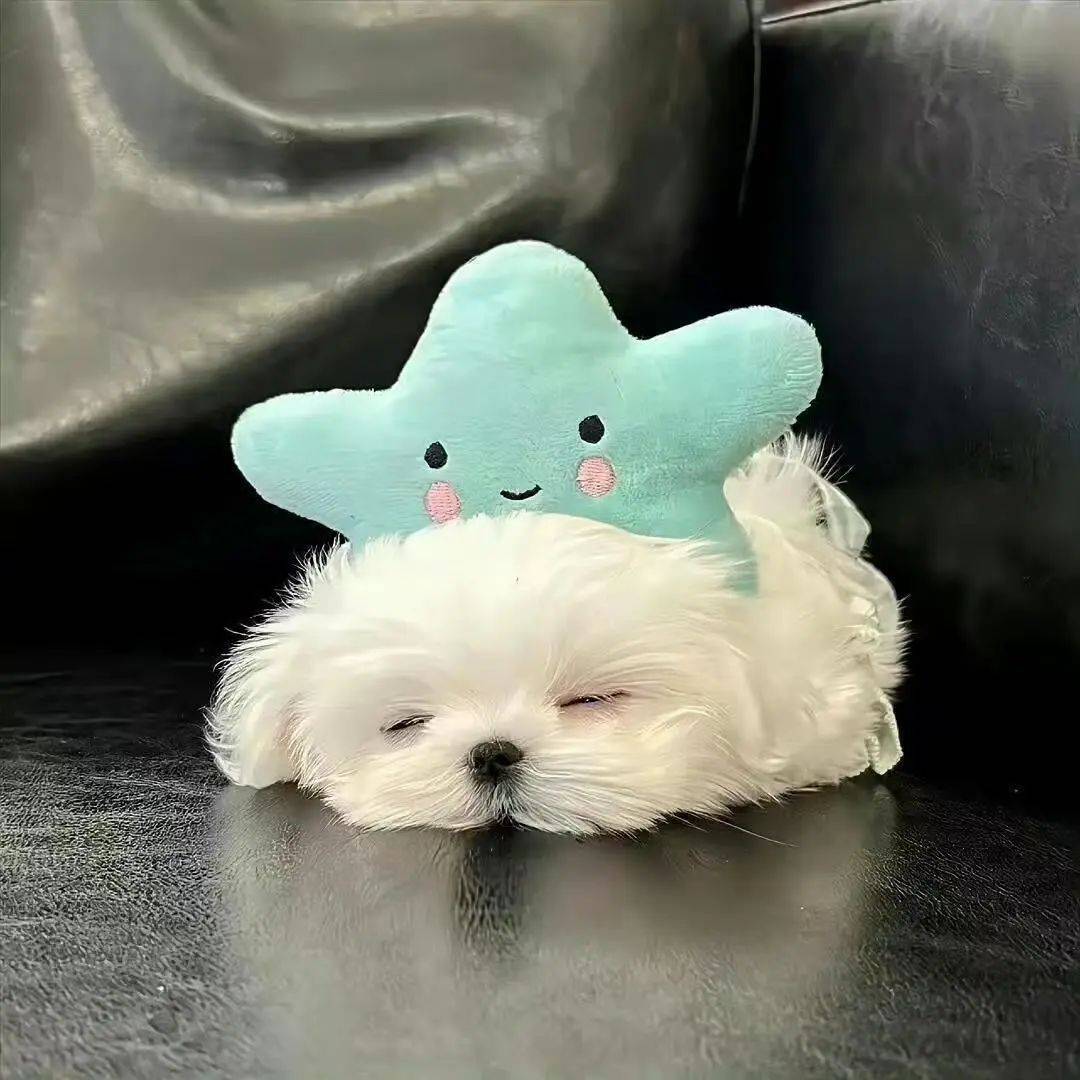 情侣头像▏不明显情头