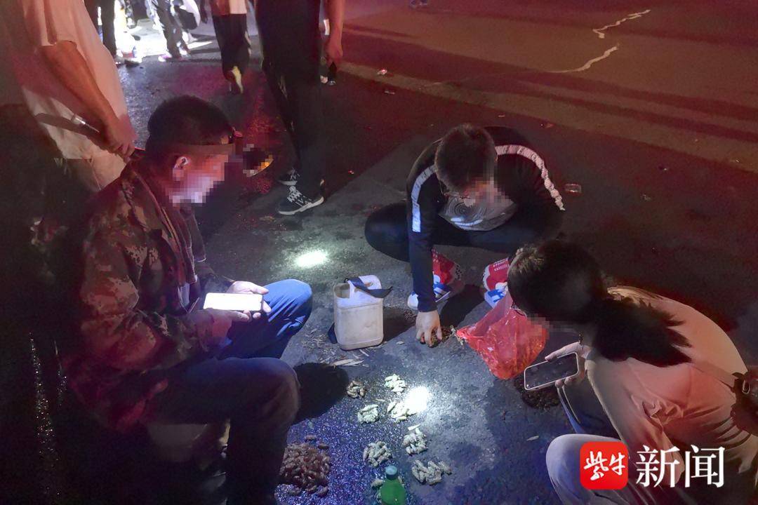 美人与悍匪:南京市民深夜组团进山捉金蝉，记者亲历：一小时逮7只，还被蜈蚣“截和”
