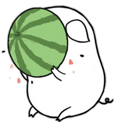 西瓜_活动_旅游