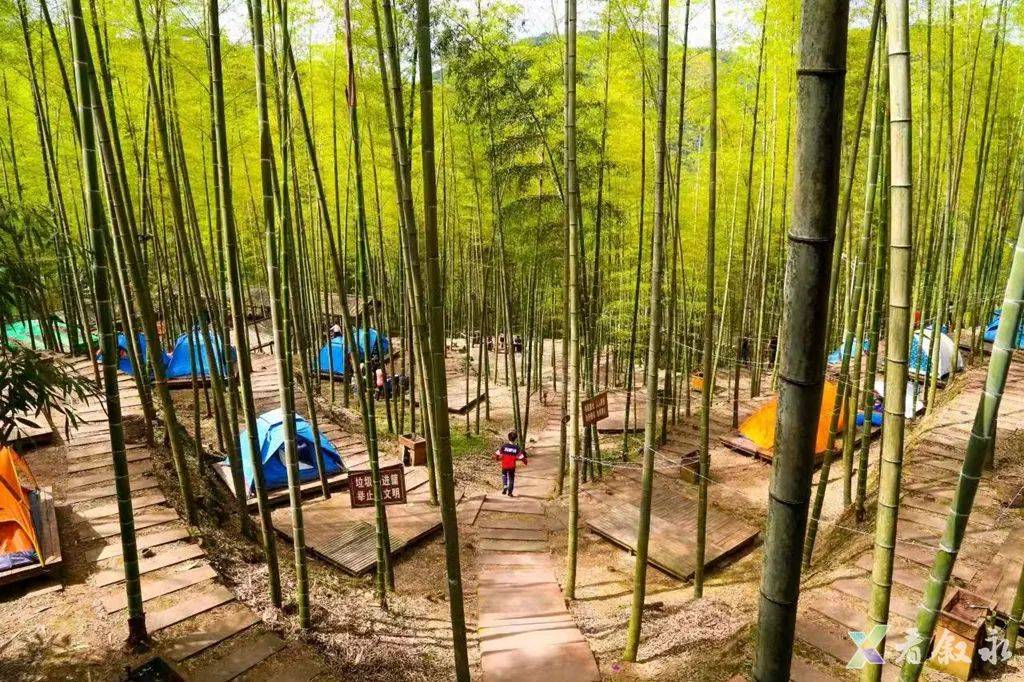 踩瀑,探桫椤~画稿溪玩水吸氧攻略,速码!