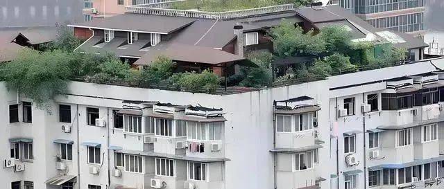 为何有钱人开始偷偷收购“老旧小区顶楼”？知情人说出了大实话，太现实了