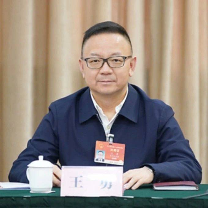死缓！“老虎”王勇，敛财2.71亿，归案后提供其他重大案件线索，有重大立功表现_被告人_政治权利_贵州
