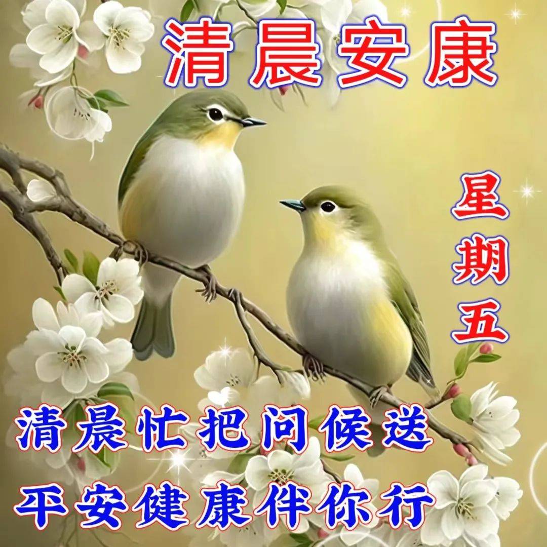 最新早上好表情包,天天好心情,健康幸福又如意