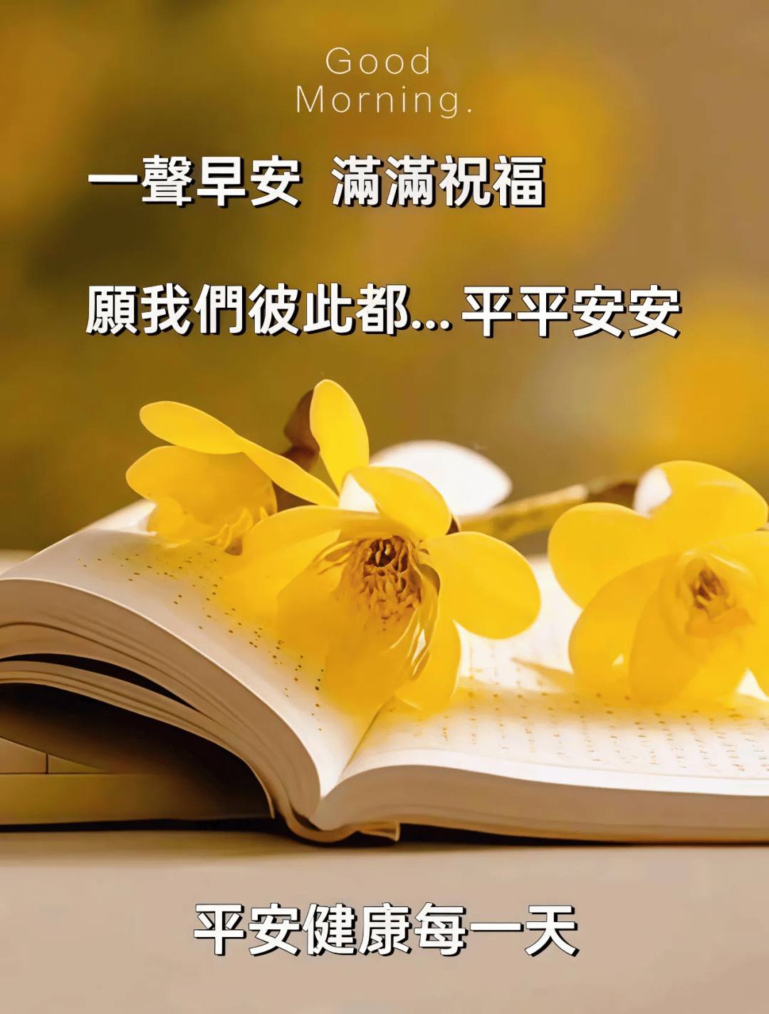 168张最新版早安早上好唯美图片:新的一天,开心,快乐,平安,健康!