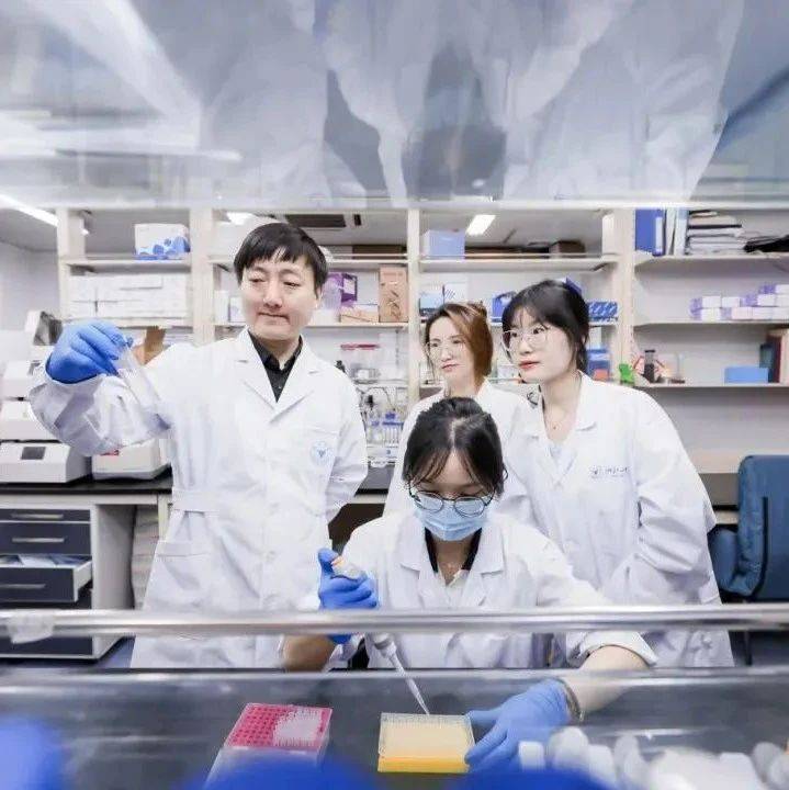 “女娲CE”来了！浙大发布高精准基因组设计AI模型