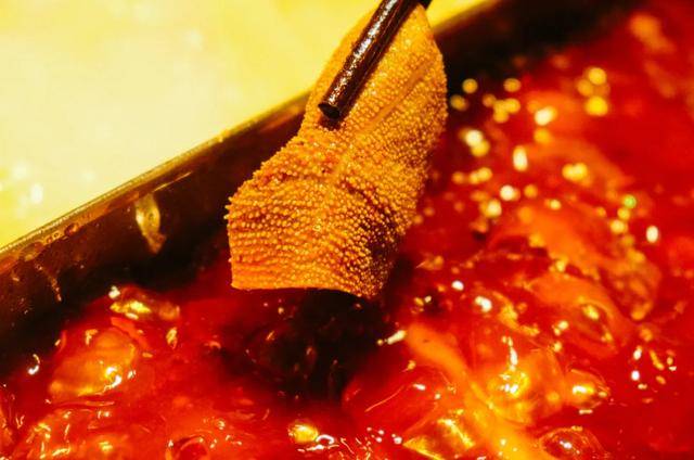 Hotpot即将推出“没有每月5,000的每月薪水”,即将推