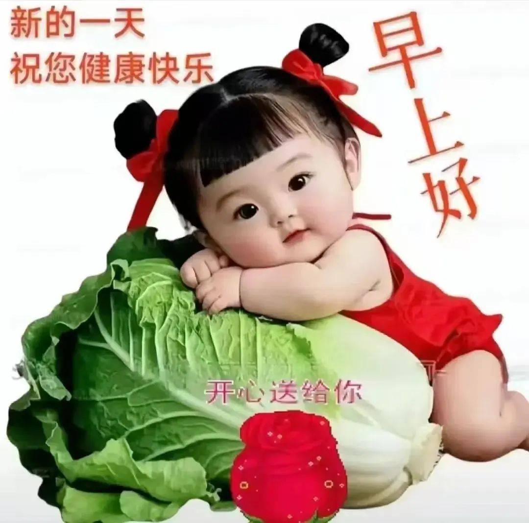 今日最新早安问候美图 精选早上好祝福文案 2025年