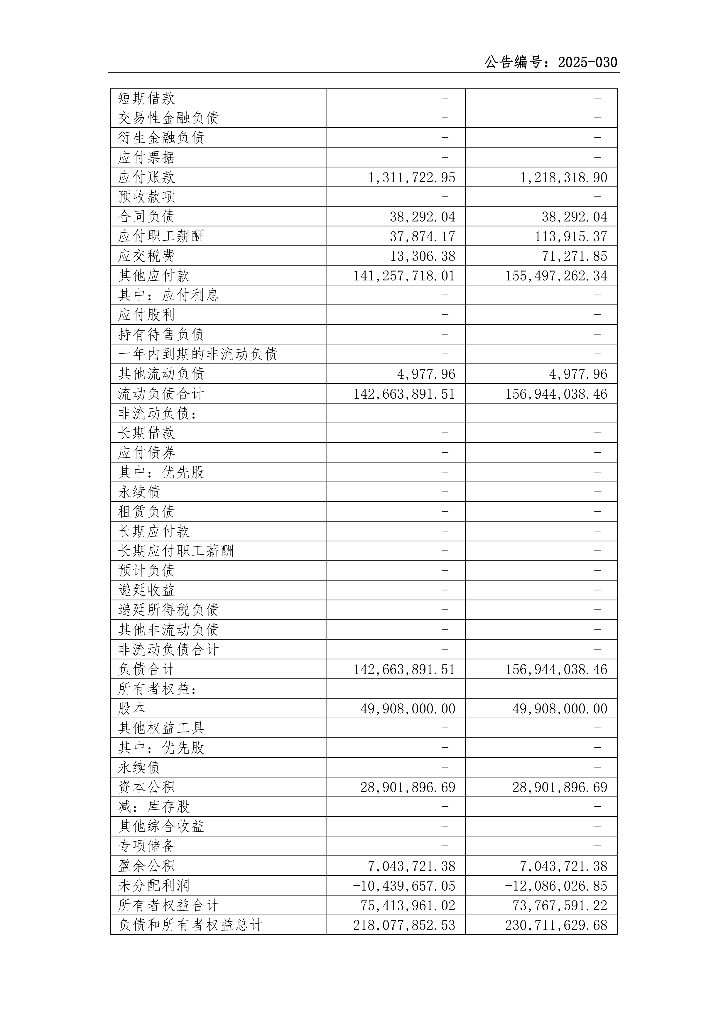 深沪京-调研-新之科技-2025年第一季度财务报表
