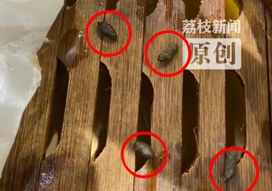 知味观餐厅吃小笼包时发现"老鼠屎" 食客崩溃:快吃完才看到(图1)