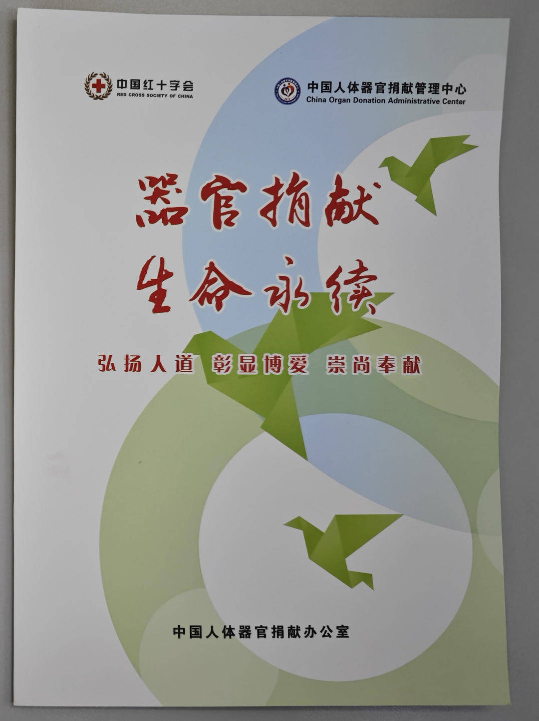 逆境中的光辉:尿毒症妻子捐献亡夫器官,点亮他人生命