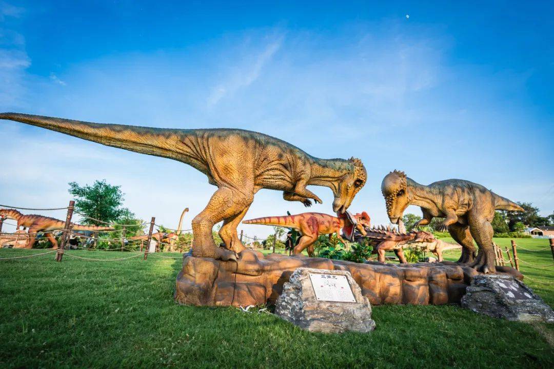 合肥这个地方又火了!