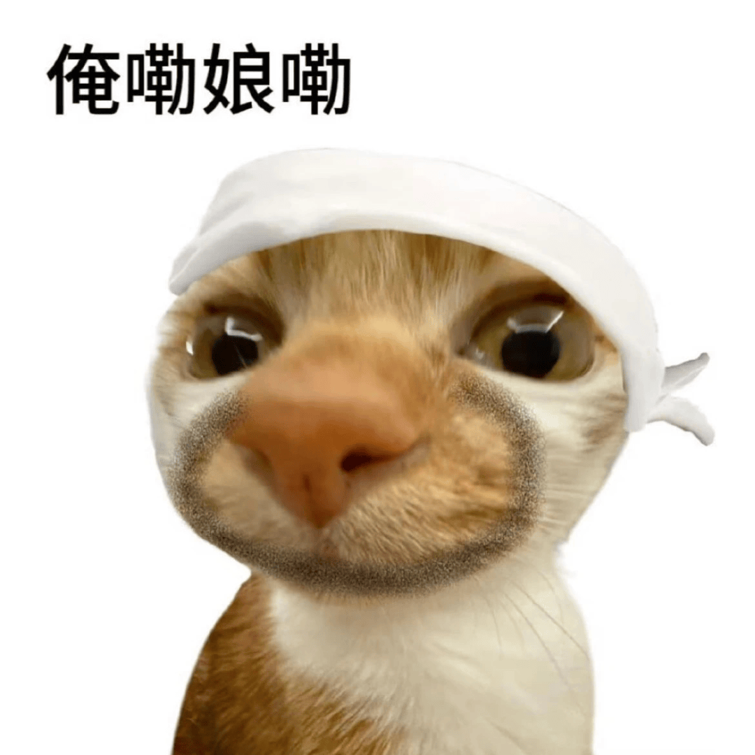 坏坏的表情包