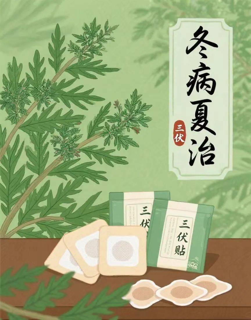 冬病夏治正当时,临汾市人民医院中医科三伏贴即将开贴