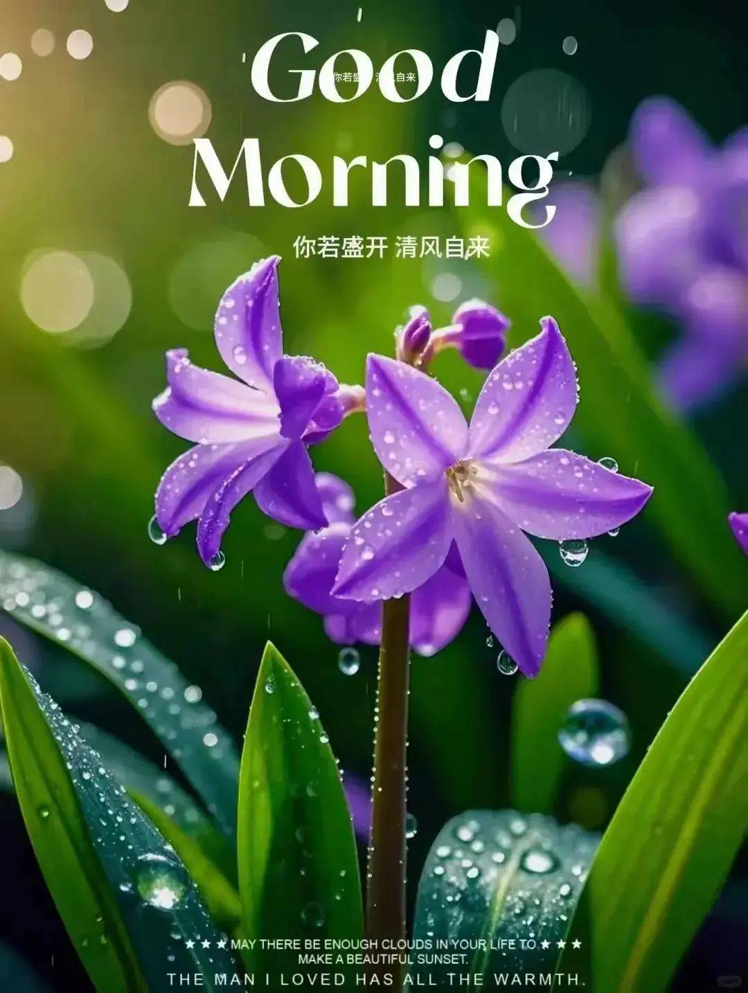 搭配优美早安温暖问候短句晨曦唯美早安问候美图