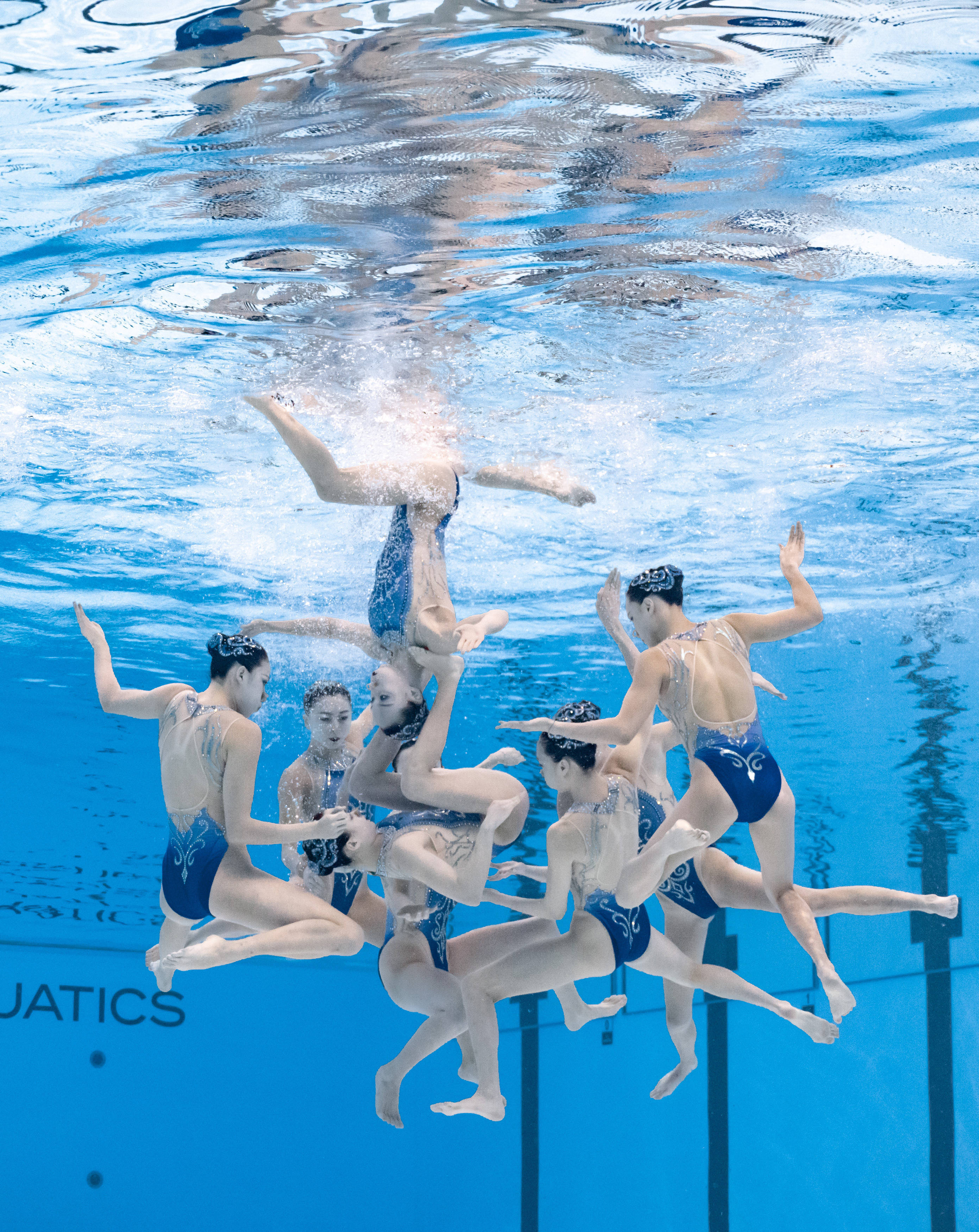 (游泳世锦赛)花样游泳