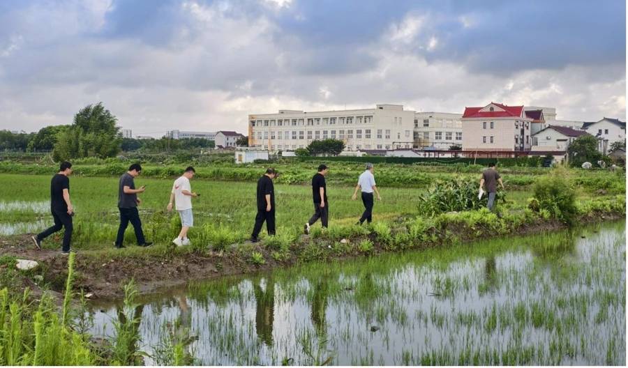 上海启动“我们一起修古桥”，首发4座古桥曝光，修复细节将公开_乡村_历史_调研