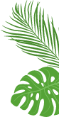 【科技特派员在行动】蜂群科学管理要跟上 科技特派员助力蜂农喜获丰收