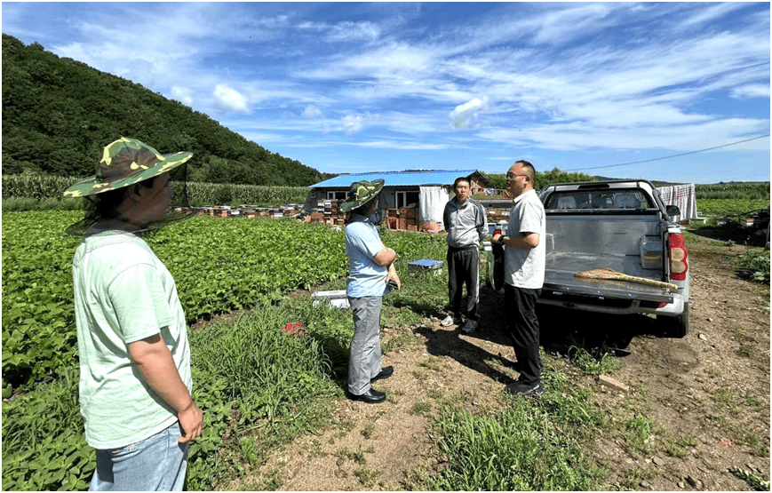 【科技特派员在行动】蜂群科学管理要跟上 科技特派员助力蜂农喜获丰收