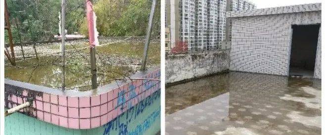 蚊子竟然能从这里来，你家也有！赶紧端了！