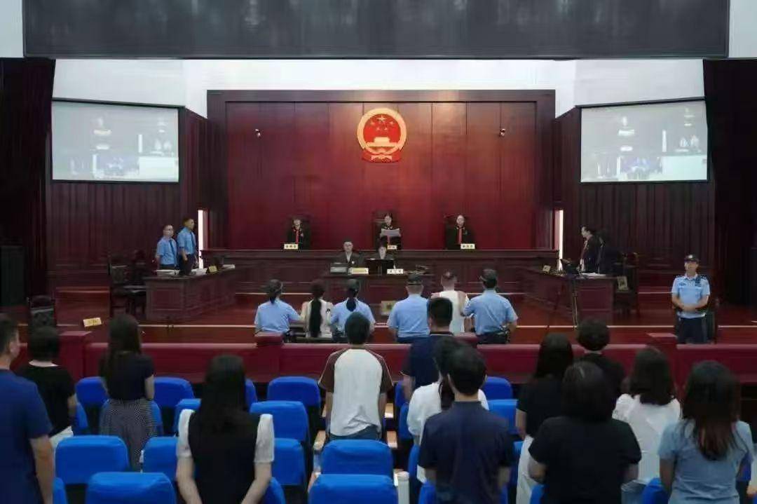 假扮熊猫“粉丝”造谣敛财——揭开“大熊猫被虐待”谣言背后的利益链