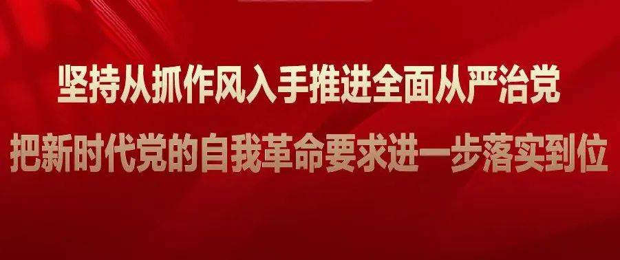 @全体党员 2025年8月份“主题党日”活动这样开展