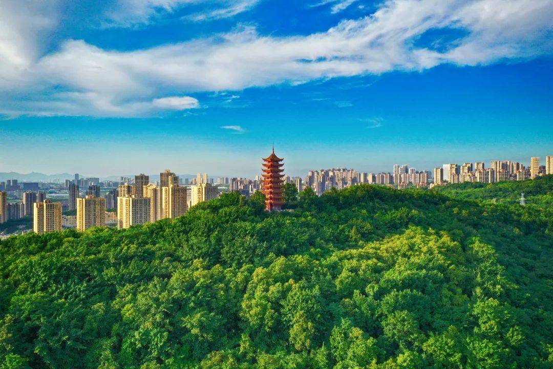 招募100人,今年夏天,照母山邀您当志愿者!