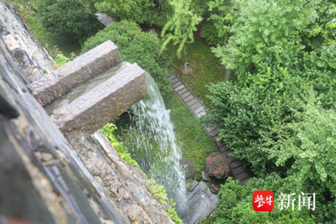 受“竹节草”影响 650多年明城墙水槽出现“龙吐水”奇观
