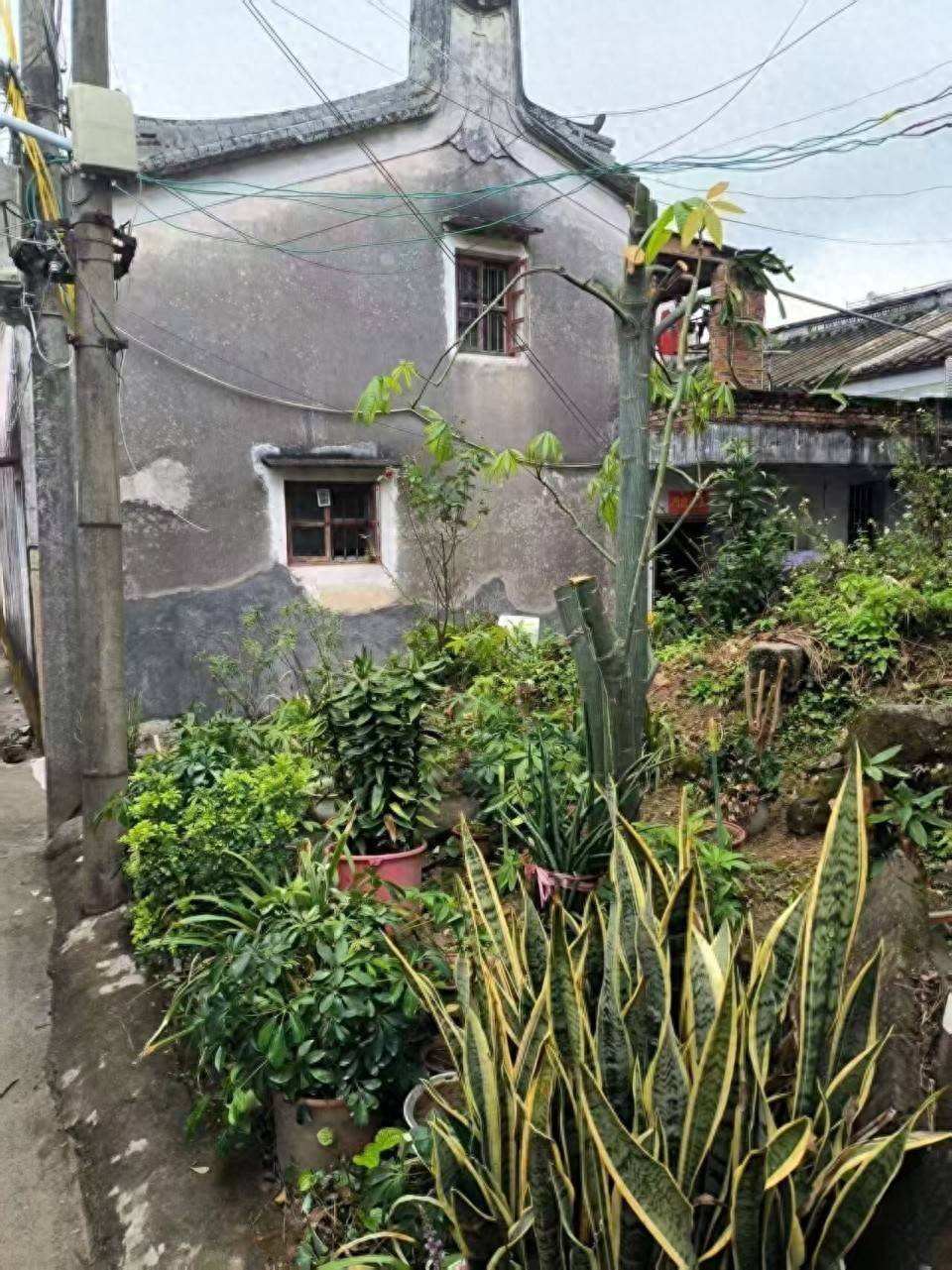 重病夫妻一家6口住60㎡村宅，希望分配新宅基地被拒；当事人：老宅是我父母的，确权错了