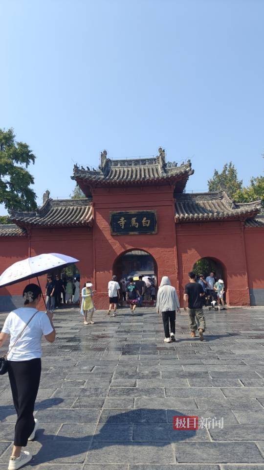 实探印乐方丈管理下的白马寺：僧人顶着38摄氏度高温种地，义工称寺里一直是农禅并重