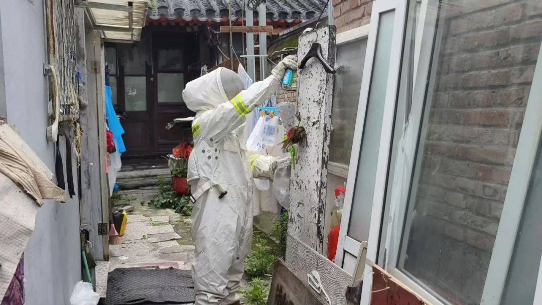 前门消防救援站高效处置蜂窝扰民警情，保障居民安全