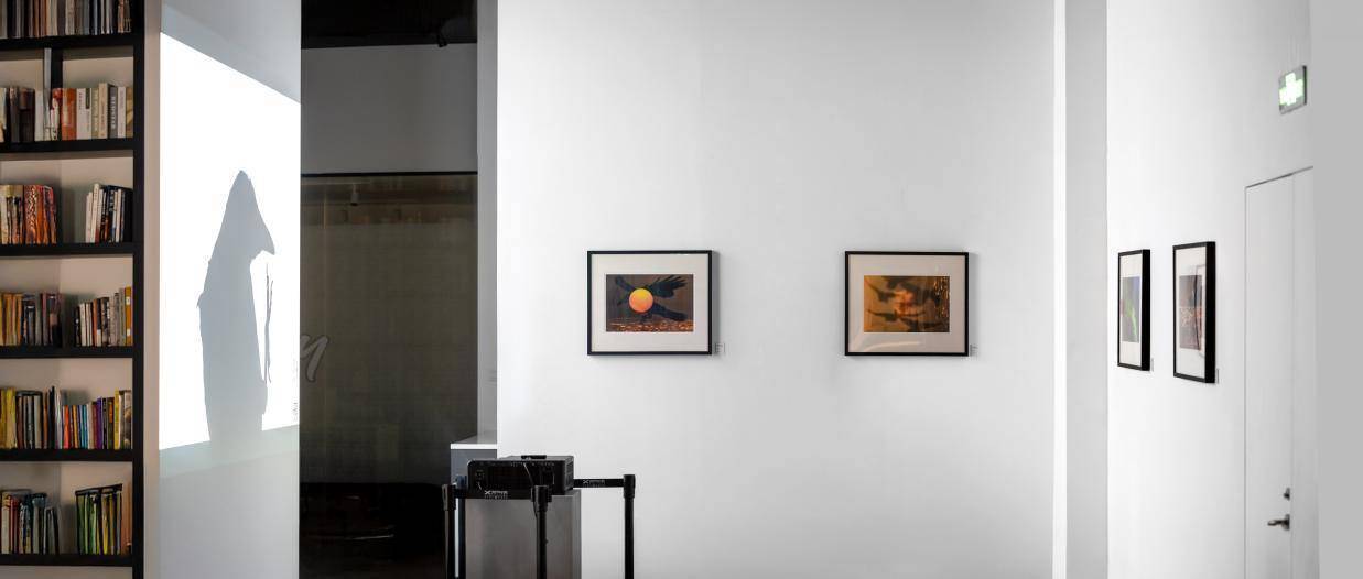 《鸦：深濑昌久摄影展》杭州开展，摄影爱好者别错过_《鸦：深濑昌久摄影展》杭州开展，摄影爱好者别错过_