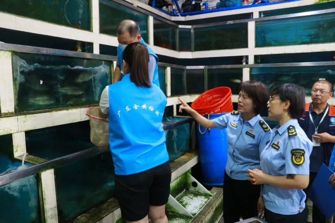 两部门联合执法检查 筑牢重点品种水产品质量安全防线