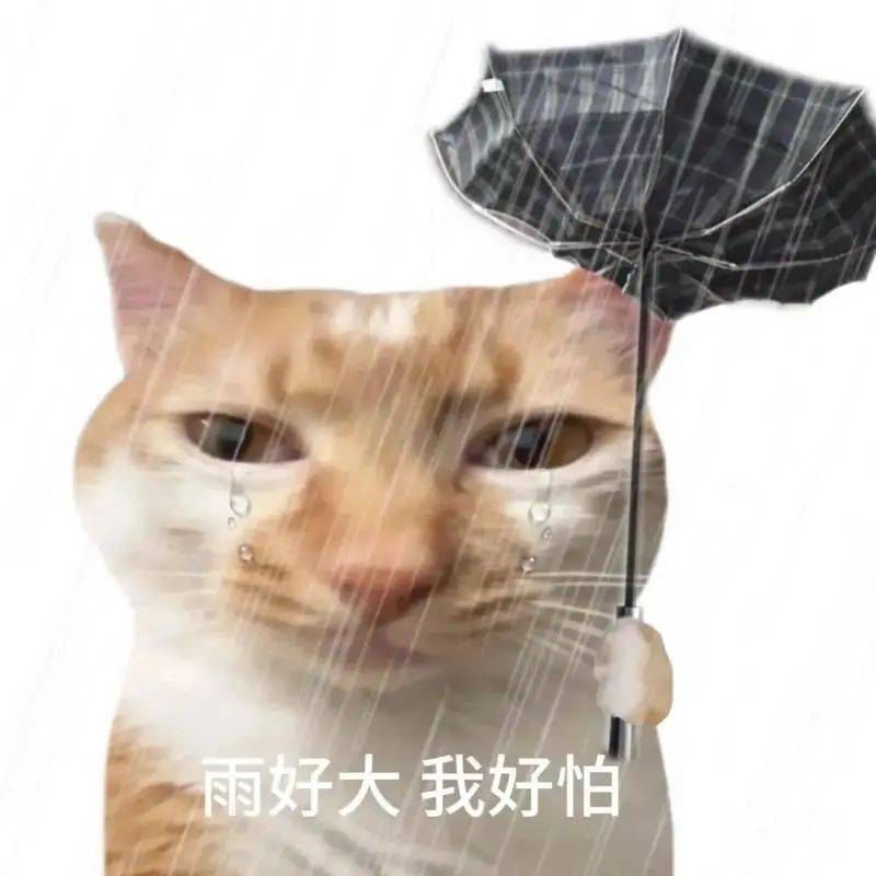 暴雨、大暴雨、特大暴雨！广东重要提醒→