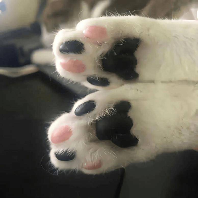 睡觉时露出脚好吗？你有这个习惯吗？