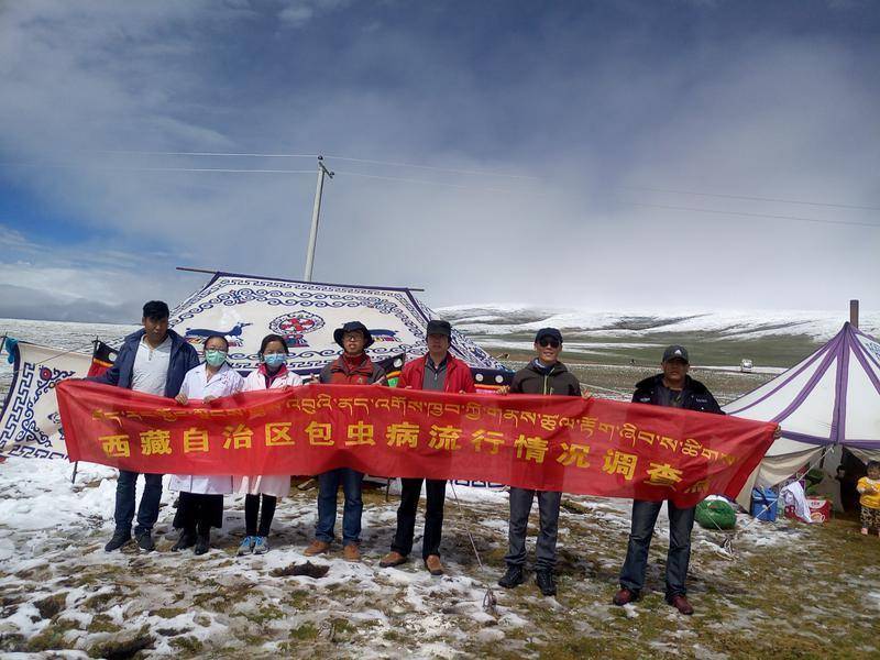 包虫病综合防治：守护世界屋脊生命健康