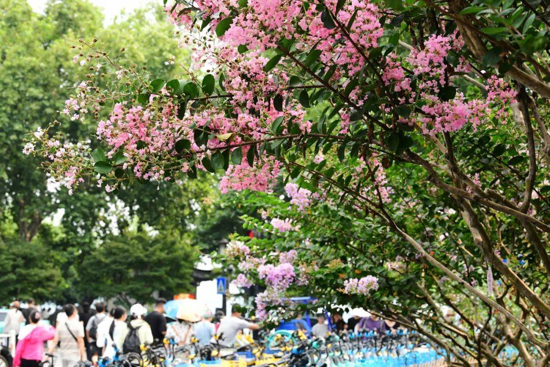 降温雨要来了！浙江局地暴雨、大暴雨、10级雷暴大风
