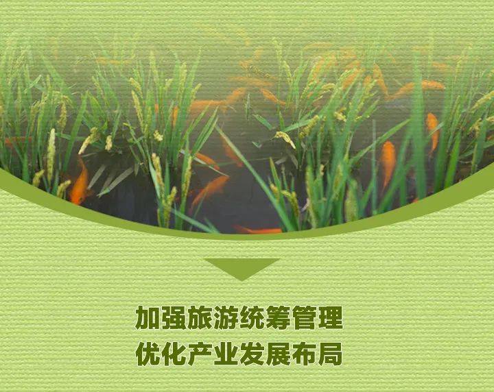 进一步规范购物消费、景区门票等！新版《浙江省旅游条例》来了