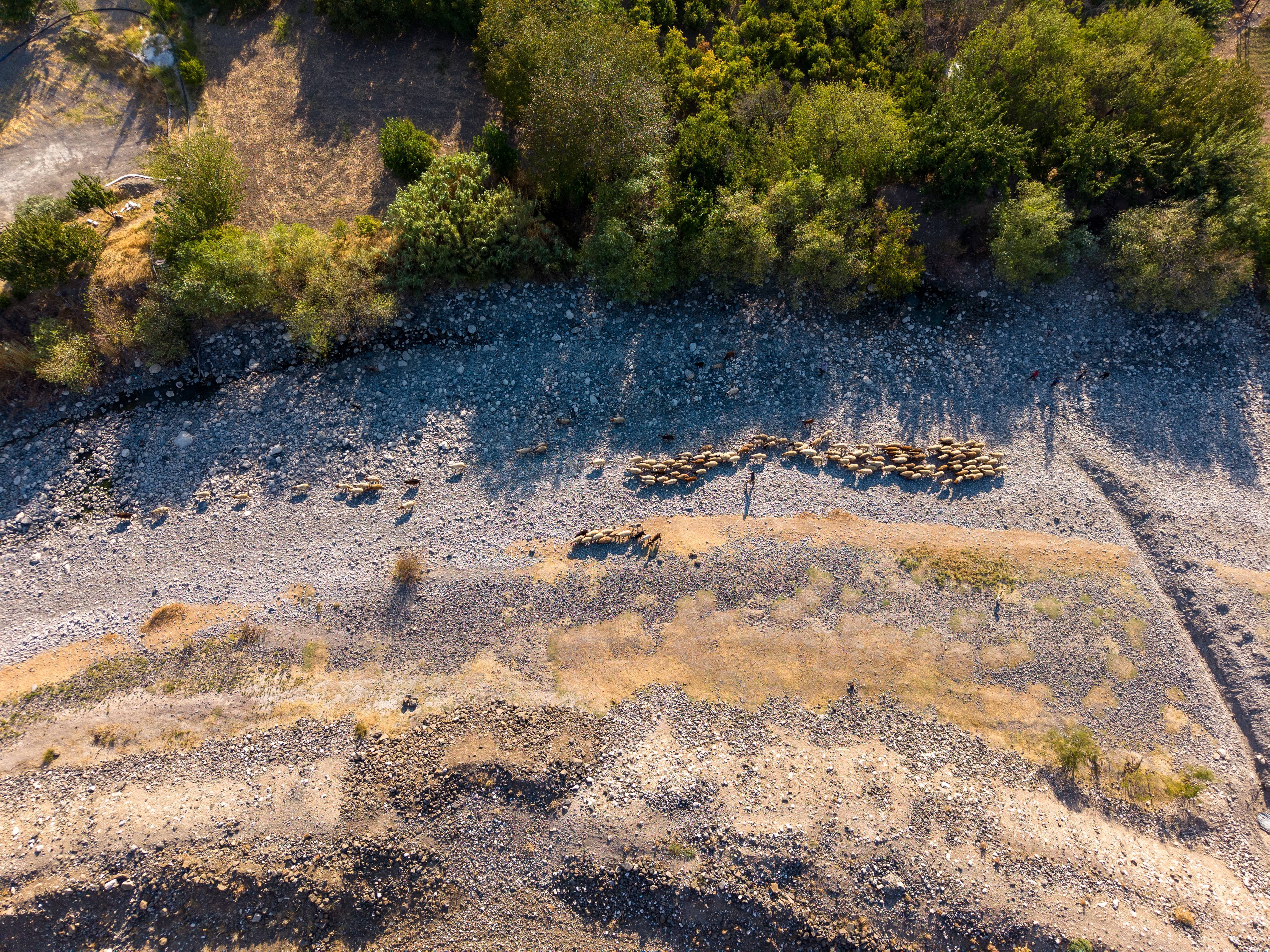 叙利亚:干涸的奥龙特斯河
