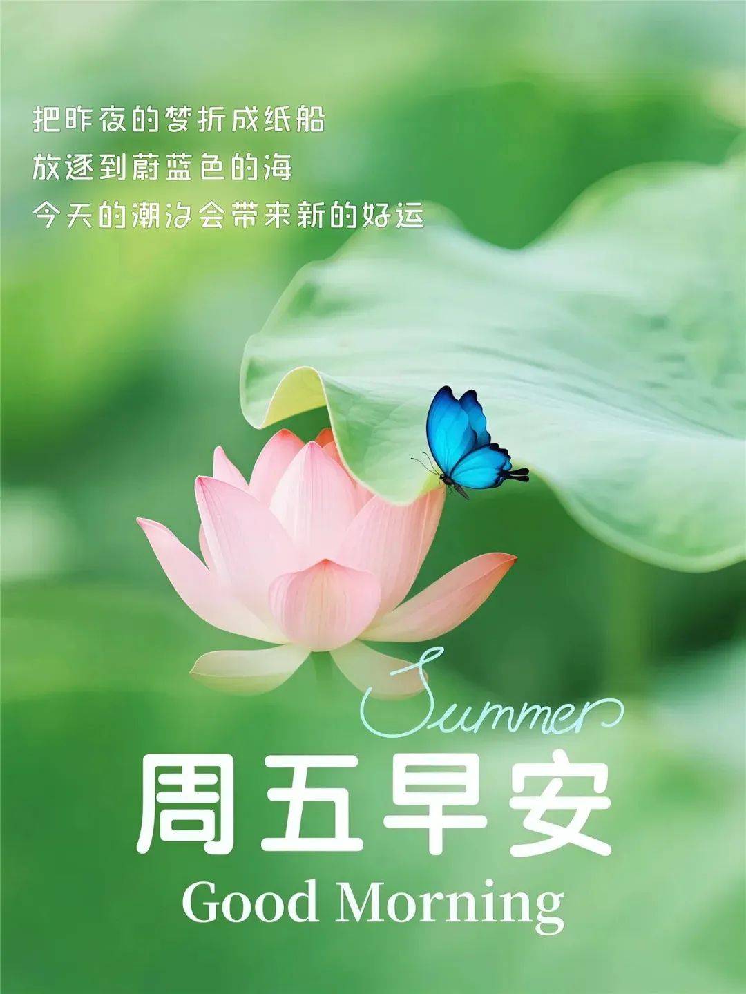 8月8日早安图片最新