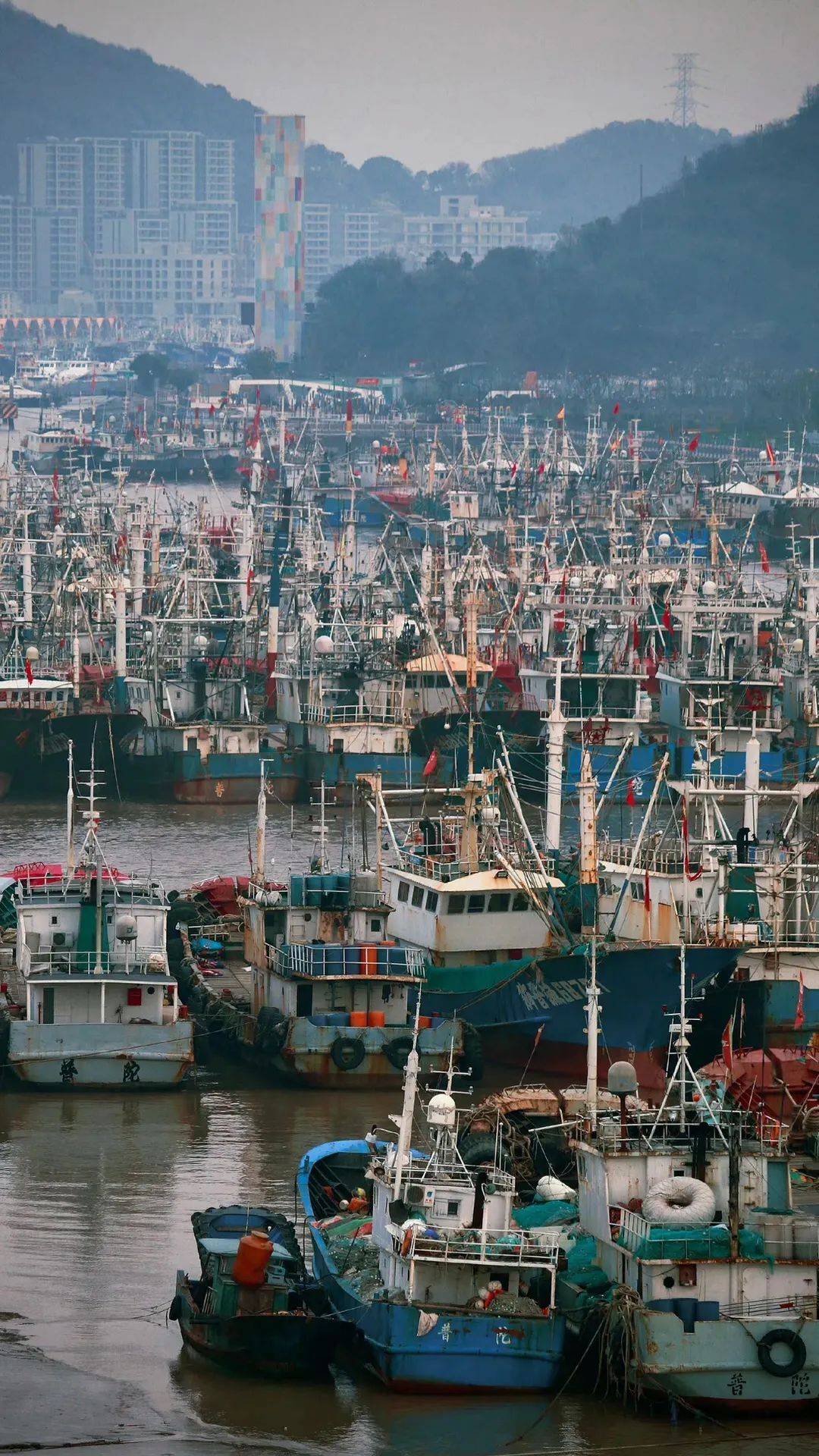 沈家门和象山,哪个名气更大?