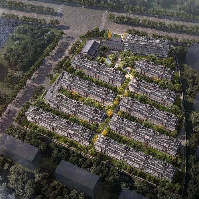 中德天诚首入杭项目公示,临平区星桥低密地块规划10幢4-6F住宅_服务业_监测_宗好地